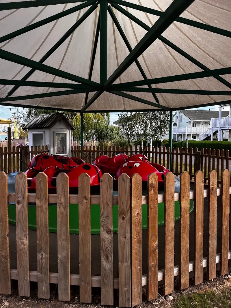 Little Stars Fairground photo 9