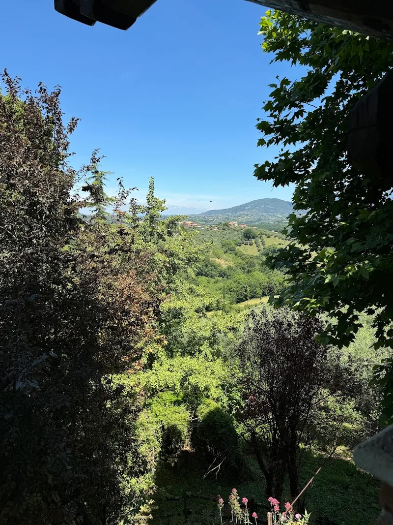 La Vecchia Quercia photo 9