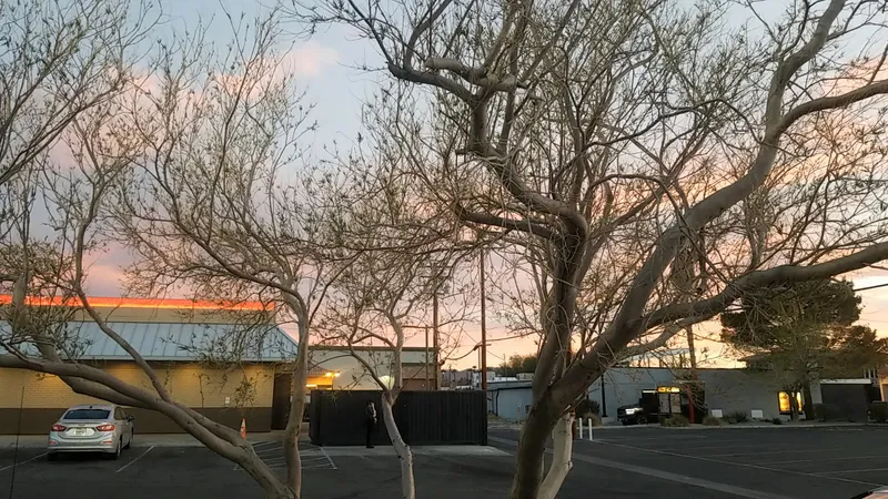 Burger King photo 10