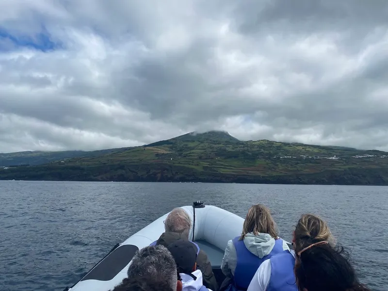 Whale Watching Tour (Pico Island) foto 9