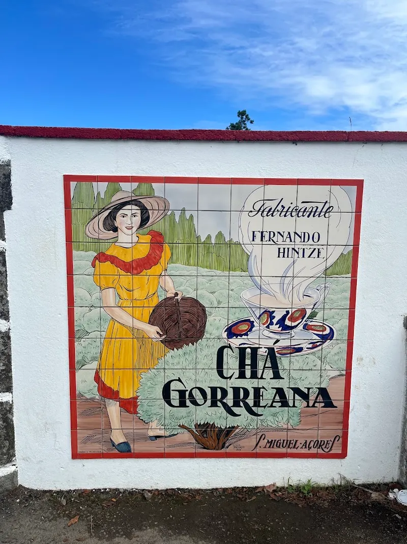 Cha Gorreana photo 6