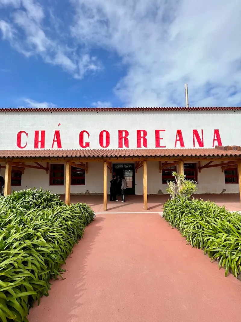 Cha Gorreana photo 5