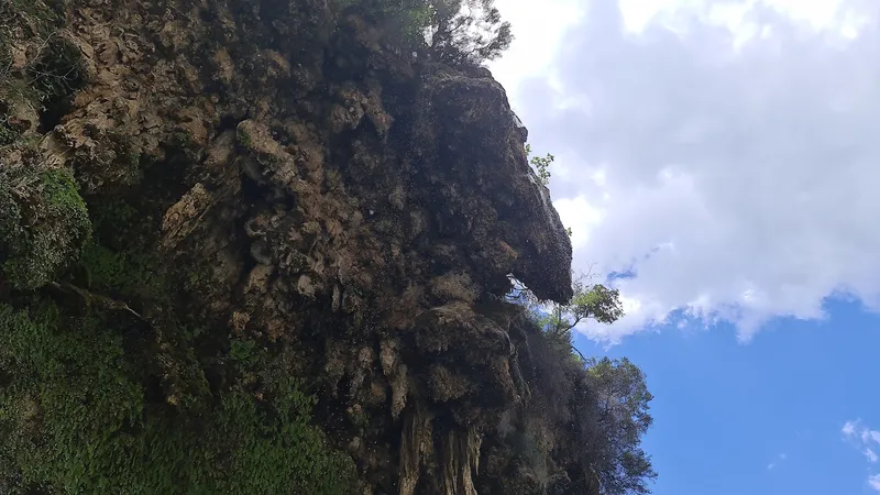 Sarcidano photo 6
