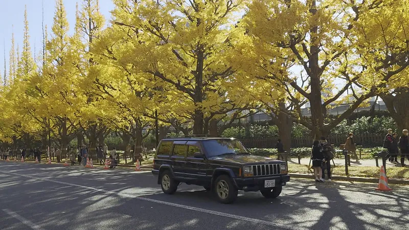 Magij Jingu Garden photo 8