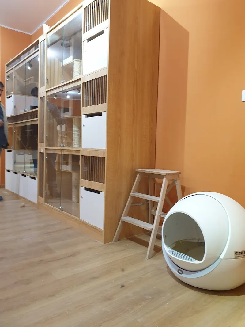 Morning Cat House foto 6