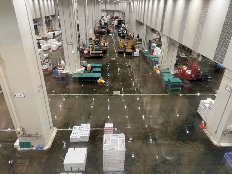 Toyosu Market photo 6