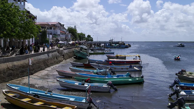 Lamu Island photo 9
