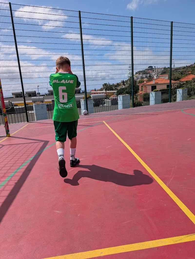 Campo de Futebol CR7 (Quinta Falcão) foto 10