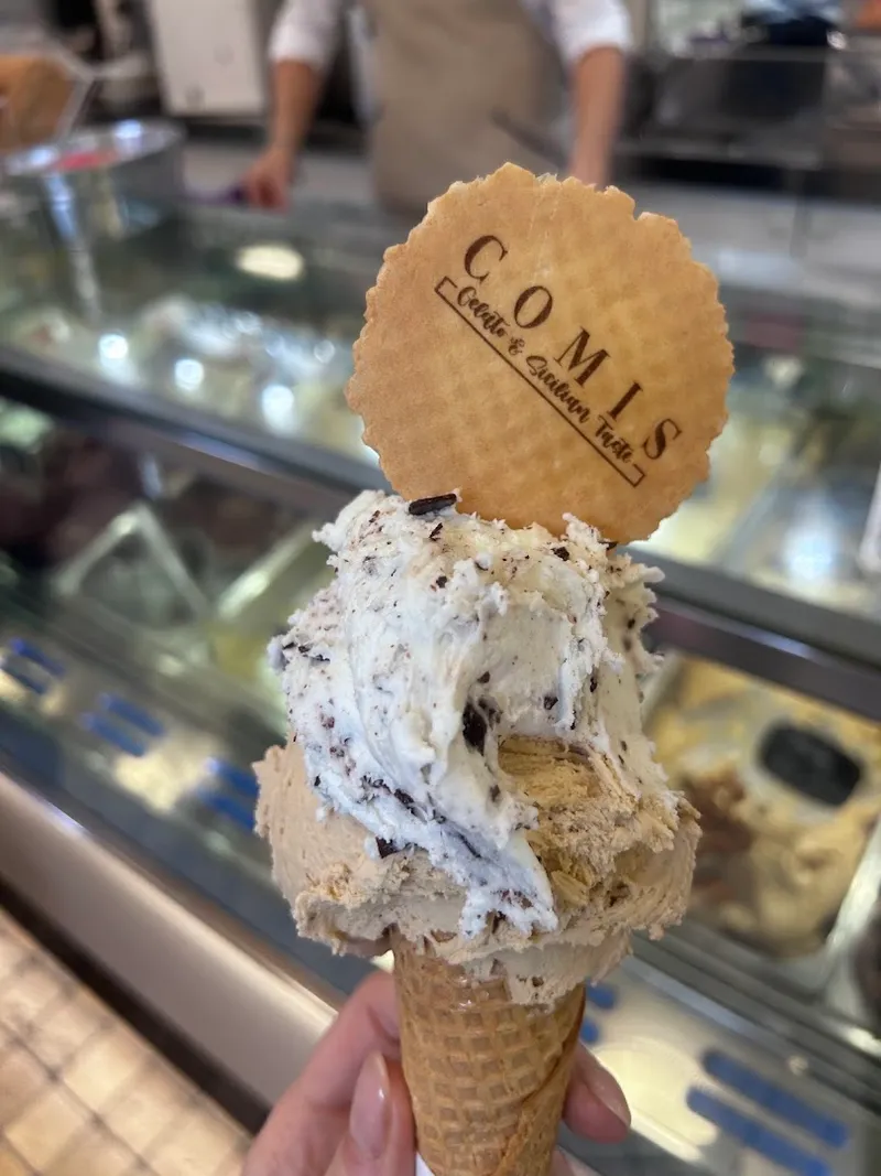 Comis Ice photo 7