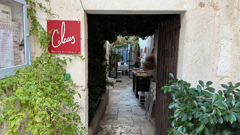 Cibus photo 7