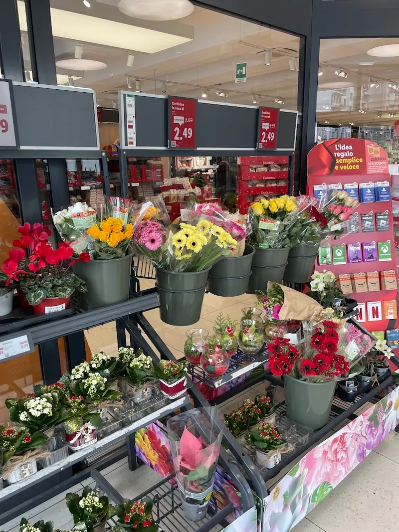 Lidl photo 10