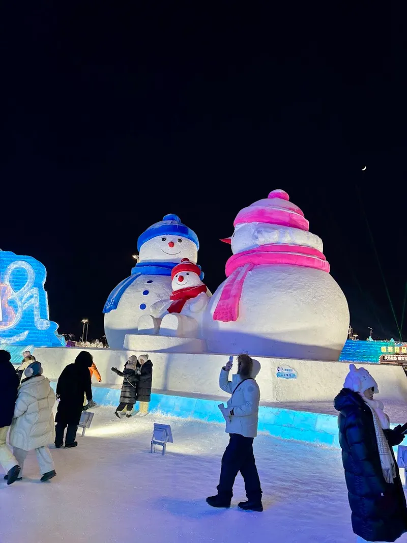 Harbin Ice and Snow World photo 7