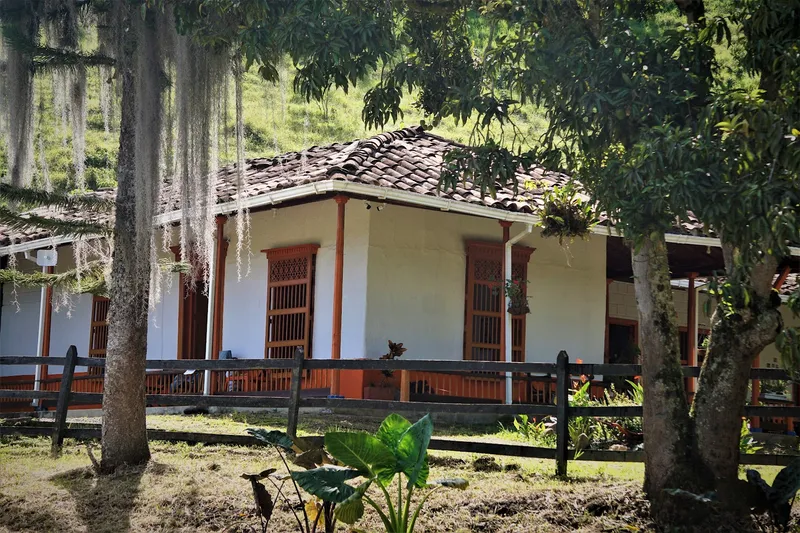 Finca Cafetera en Andes