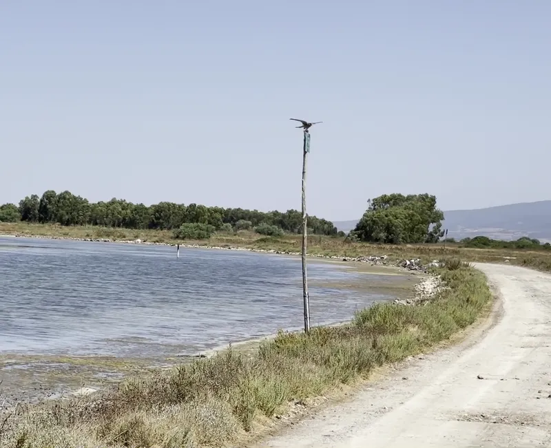 Cabras Lagoon photo 8