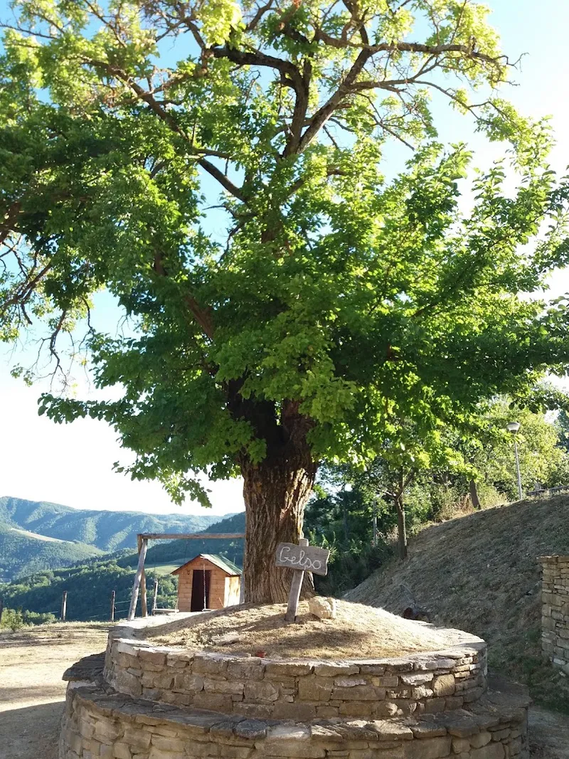 Casale del Barone photo 9