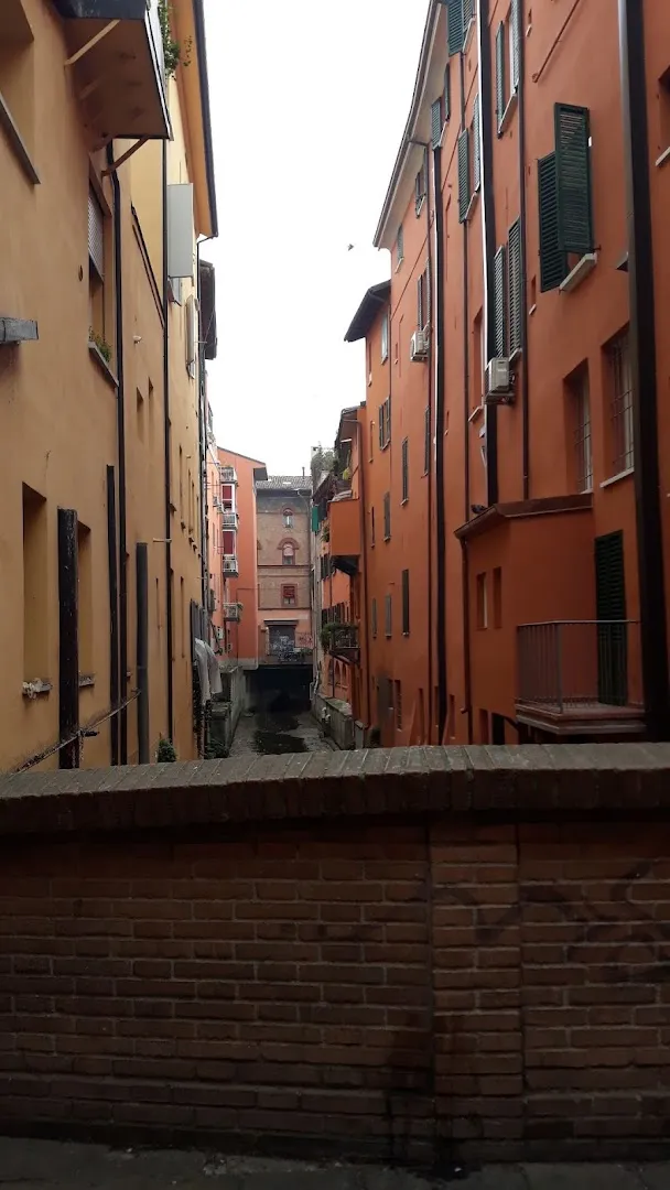 Od photo 11