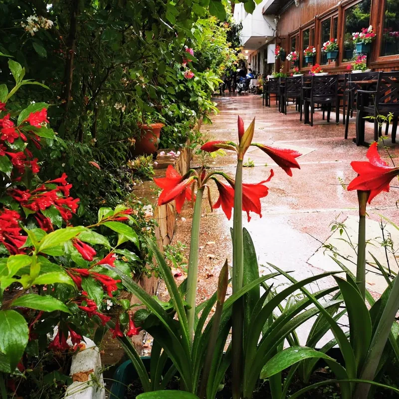 Mola Cafe foto 9