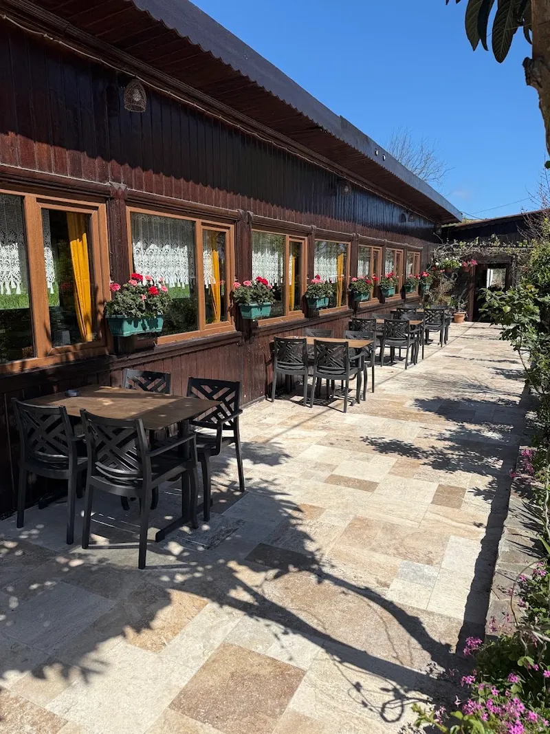 Mola Cafe foto 5