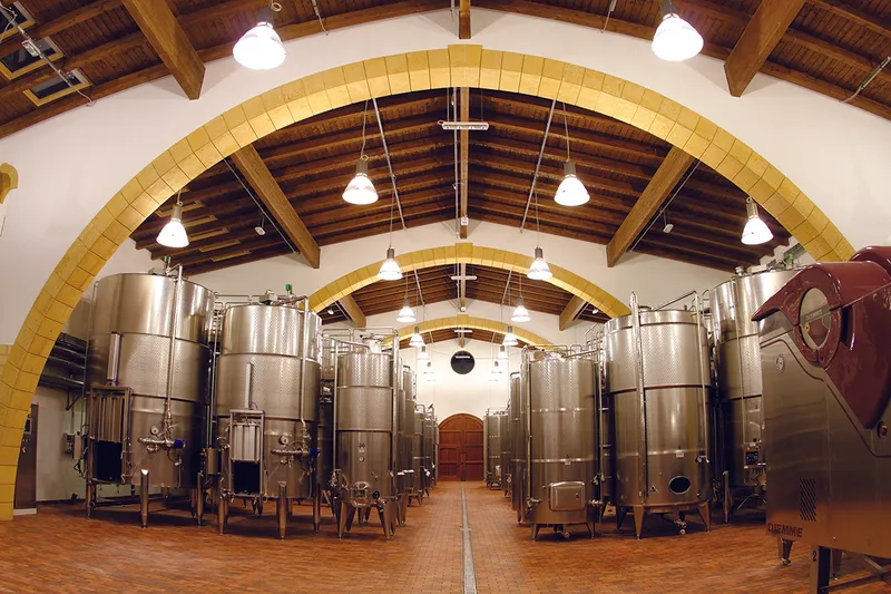 Assuli Winery foto 8