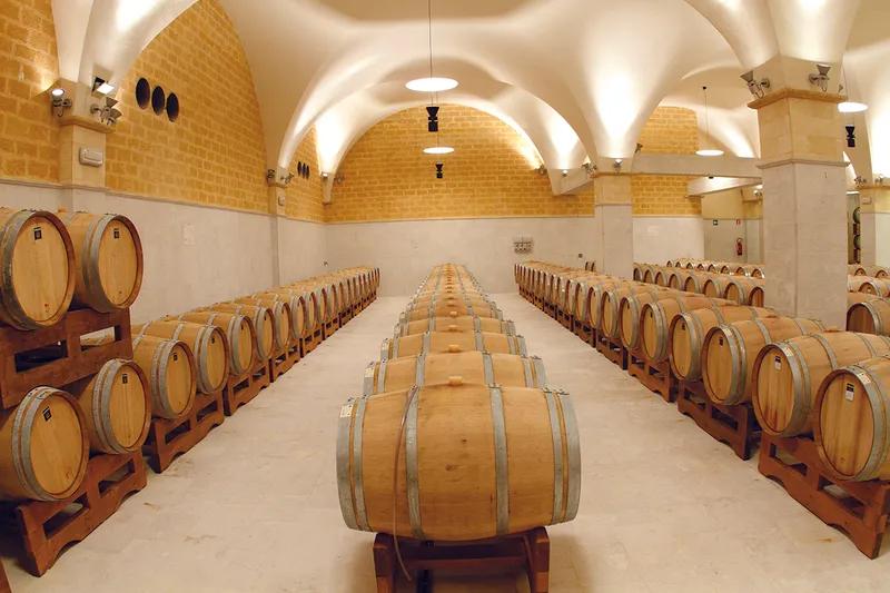 Assuli Winery foto 5