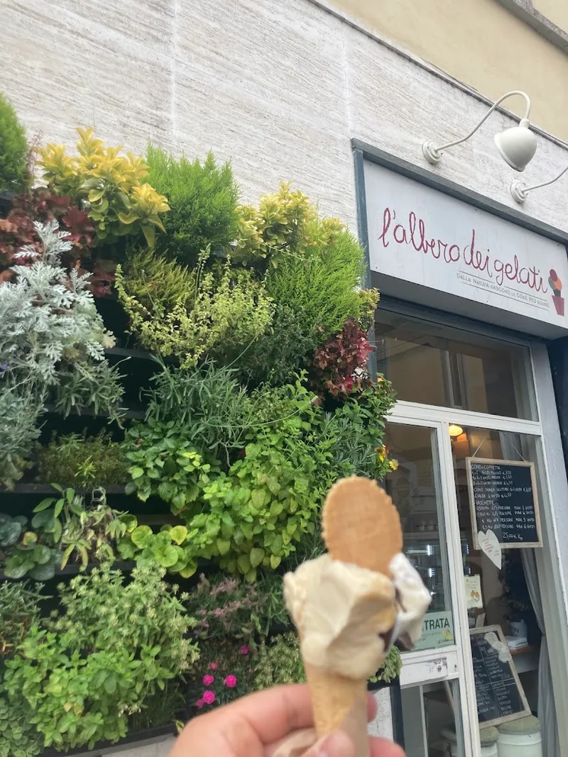 L'Albero dei Gelati photo 11