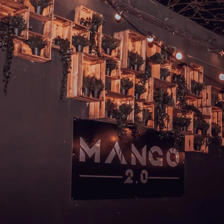 Mango photo 5