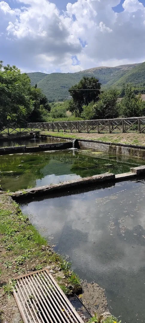 Vecchio Molino photo 7
