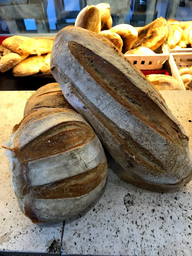 Gemme di grano foto 5