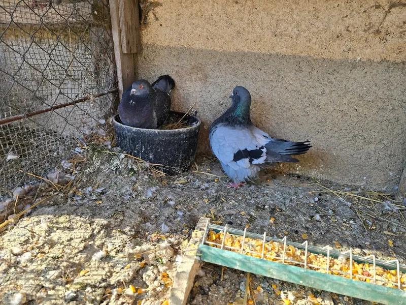 Le Delizie di Marianna photo 6