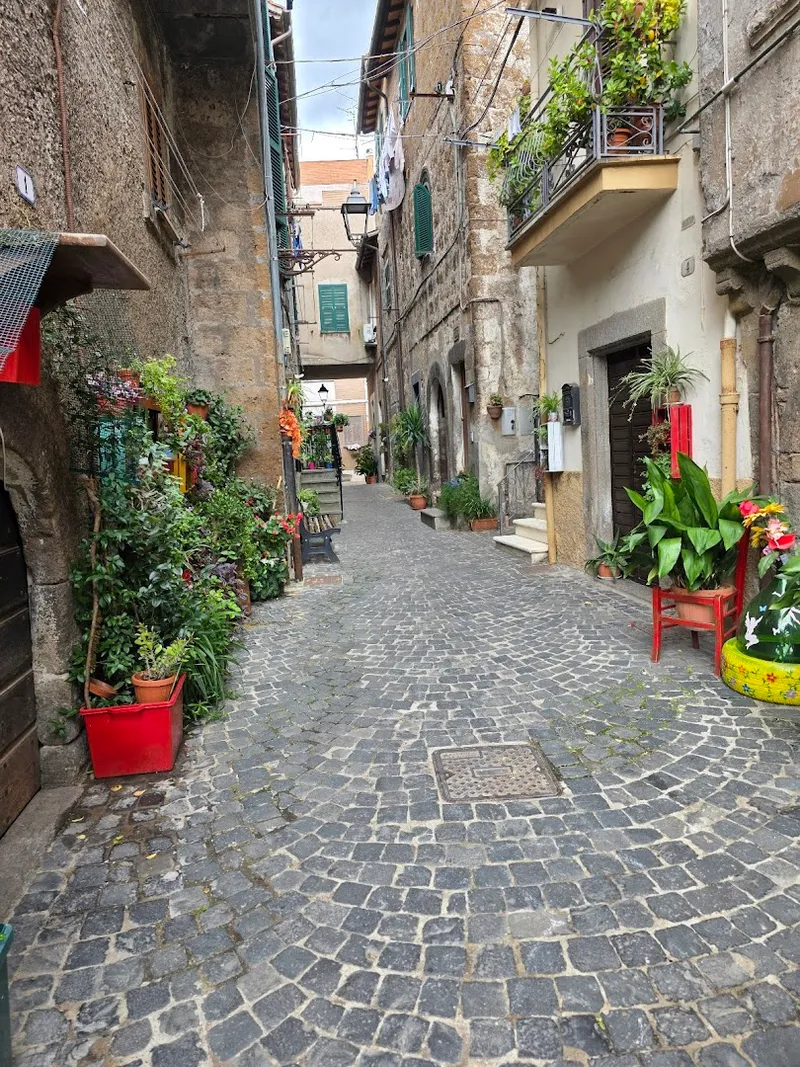 Trattoria da Pappetta foto 6