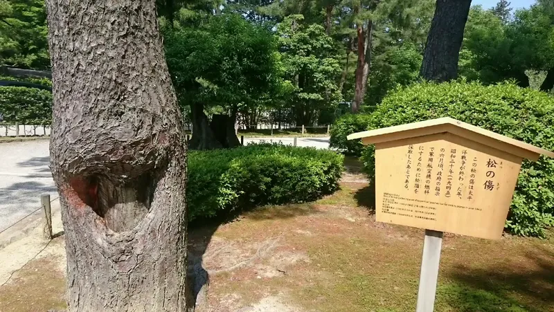 Kenroku-en foto 8