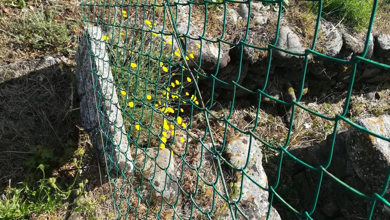 Città Etrusca di Misa (Marzabotto) photo 7