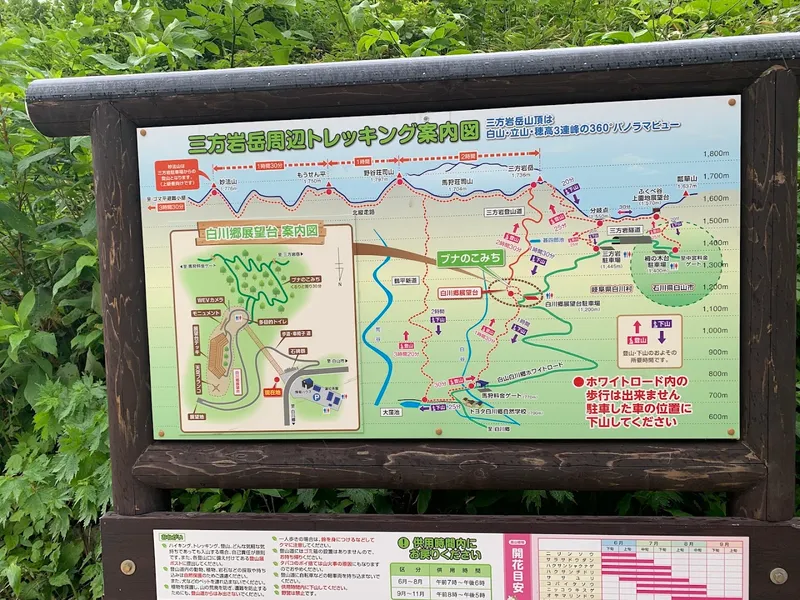 Shirakawa-go Observation Deck photo 9