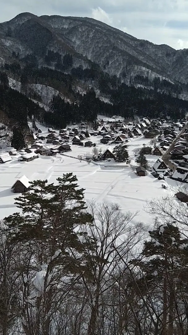 Shirakawa-go Observation Deck photo 8
