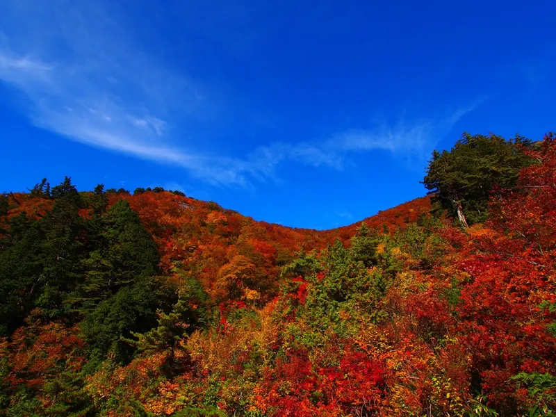 Shirakawa-go Observation Deck photo 5
