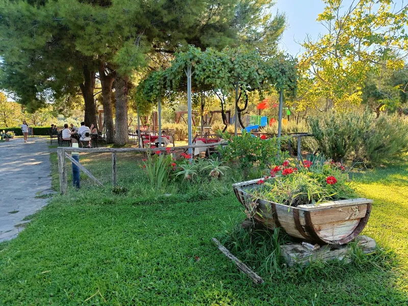 Azienda Agricola Fabrizio photo 9