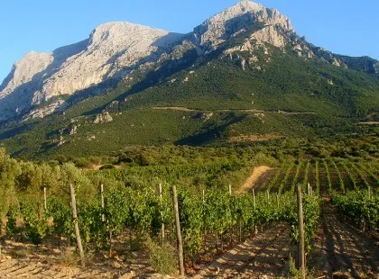 Cantina Puddu