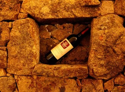 Cantina Puddu photo 9