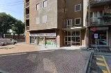 Cimiciurri