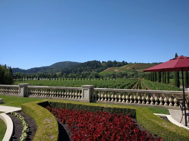 Ferrari-Carano Winery foto 5