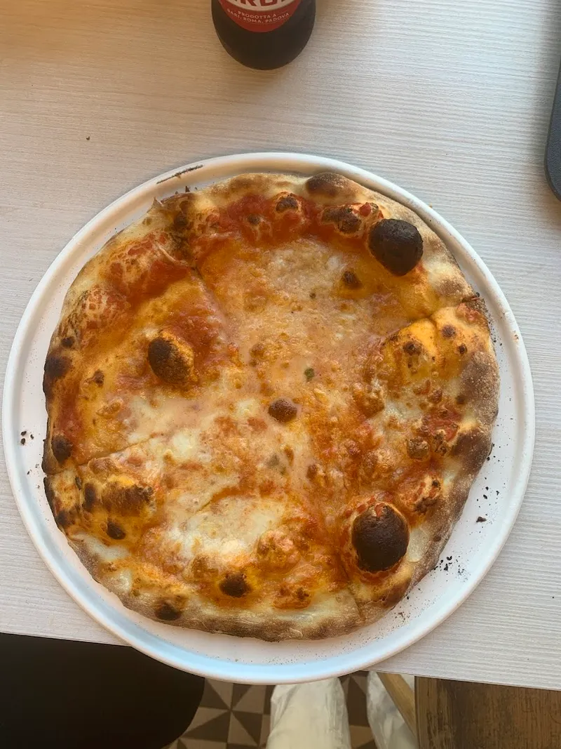 Voglia Matta photo 5