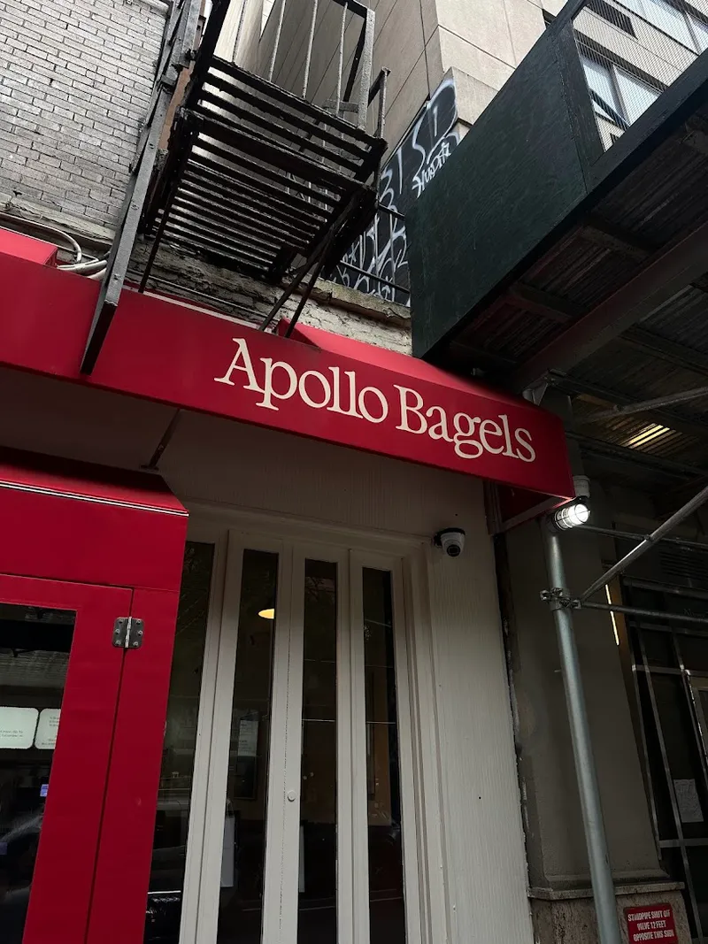 Apollo Bagels photo 6