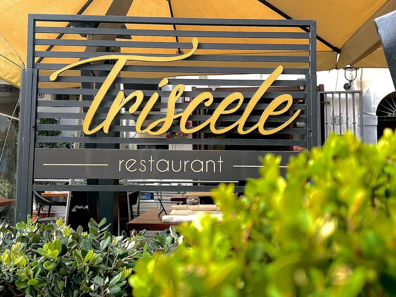 Triscele photo 7