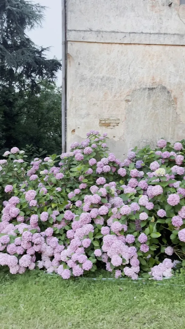Cascina Lago Scuro foto 8