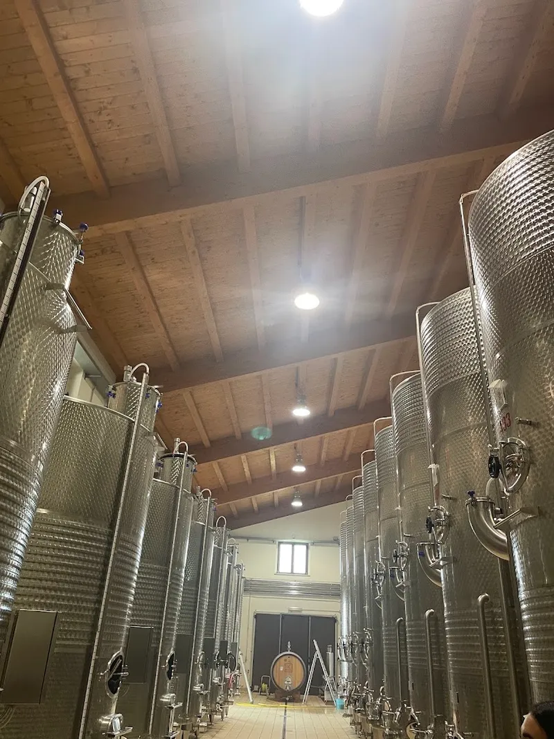 Cantina Le Cimate photo 5