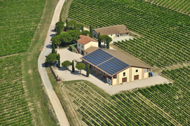 Cantina Le Cimate photo 6
