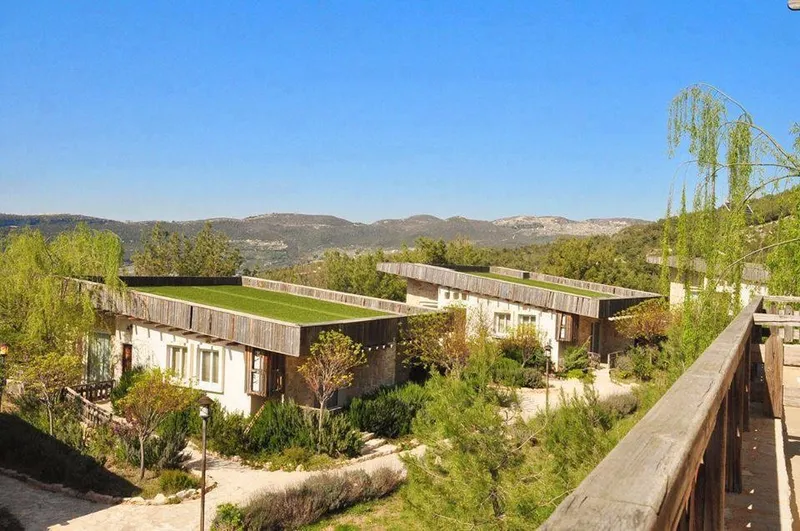 Mountain Chalet (Family Business in the Mountains) foto 10