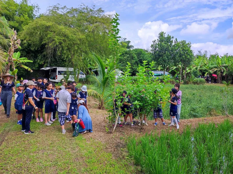 Sanpakai HideAway OrganicFarm photo 7
