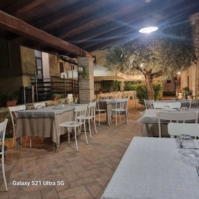 Trattoria Margherita photo 6
