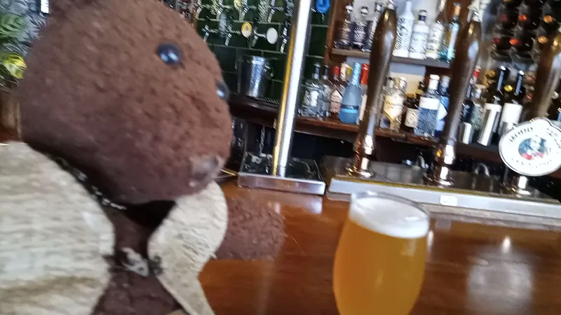 Dylans at The Kings Arm foto 8